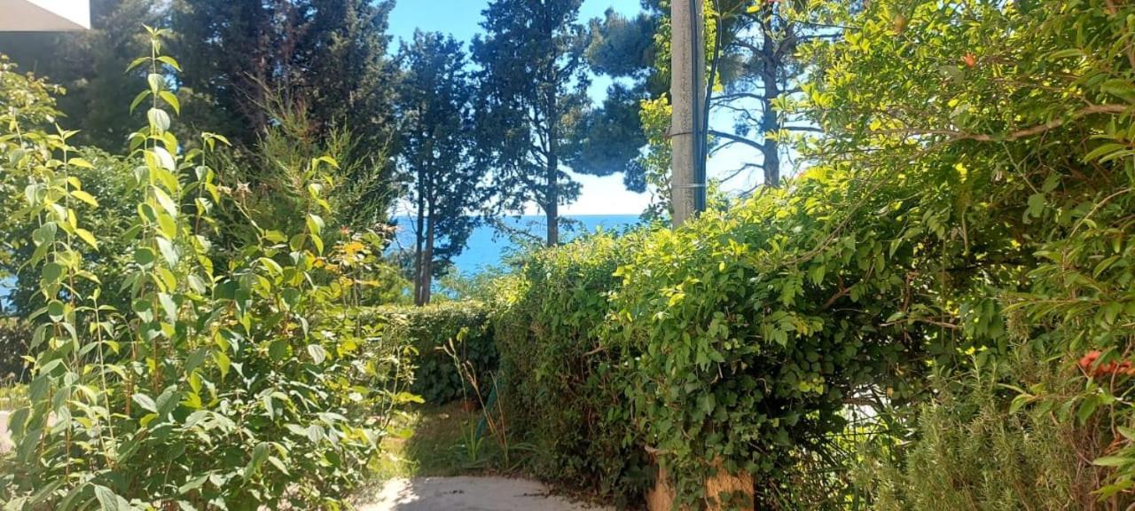 Apartmani Sunce Bar Quarto foto